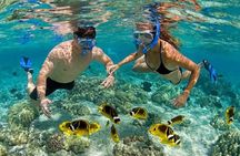 Bali ATV Blue Lagoon Snorkeling Private Guided Tour Free WiFi 