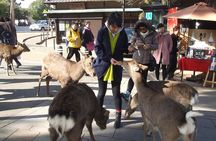 Exploring Nara