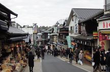 Naritasan Shinshoji temple before your flight