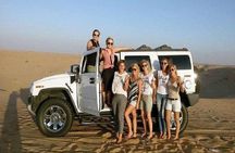 Dubai afternoon Desert Safari (Kids friendly )
