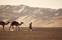 Empty Quarter & Lost City from Salalah