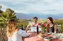 Etna Countryside Food & Wine Lovers Tour (Small Group or Private)