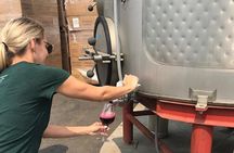 Wine Tour Pros - Wine Tour and Transportation: SUV Up To 6 Guests