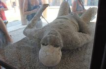 Naples & Pompeii from Rome by Fast Train - Small Group