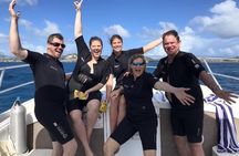 Private Half-Day Dive trip in St Thomas Virgin Islands