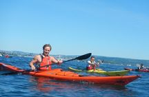 2- hour kayak trip on the Oslo Fjord