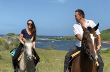 Private Beach Picnic Horseback Ride with Sandy Hoofs St. Lucia