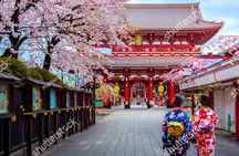 Starter tour in Tokyo _Visiting must-see spots and practical guidance