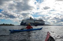 3- Hour Kayak Tour on the Oslofjord