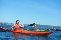 3- Hour Kayak Tour on the Oslofjord