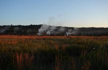 Hawaii Volcanoes National Park Private Tour