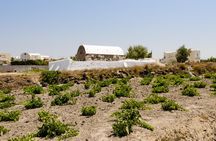 Santorini Highlights and Venetian Castles Small-Group Day Tour