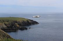 Full day Private Tour from Waterford