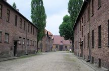 Auschwitz Guided Tour