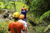 Full-Day Adventure and Nature Tour of the Mindo Cloud Forest from Quito, Ecuador
