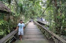Ubud and Tanah Lot Tours