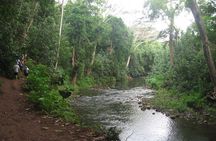 Kauai Adventure: Kayak & Hike to Secret Falls with Expert Guide