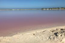 LAS COLORADAS & RIO LAGARTOS from Riviera Maya and Cancun (Private)