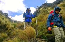 Private Hiking tour to Ruco Pichincha & Teleferico