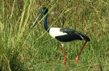 Bird Sanctuary, Bharatpur & Taj Mahal, Agra Day Tour from Delhi
