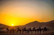 Half Day City Tour of Jaisalmer visit Sunset by Camel Ride with Dinner