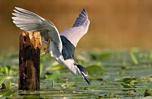 Bird Sanctuary, Bharatpur & Taj Mahal, Agra Day Tour from Delhi