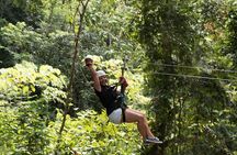 Treetop Adventure Park Canopy Tour