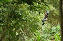 Day of Adventure - Zipline and Hike or Bike