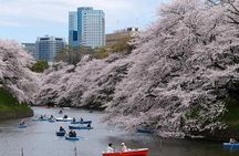 Tokyo Like a Local: Customized Private Tour
