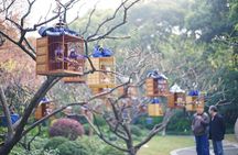 Shanghai Like a Local: Customized Private Tour