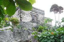 Tulum Ruins Tour (Private, Half Day)