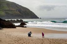 Dingle Peninsula Day Tour from Limerick: Including The Wild Altanic Way