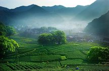 Hangzhou Heaven on Earth Full Day Private Tour from Shanghai