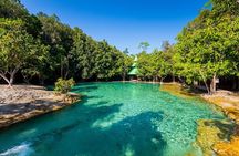 Krabi Jungle Tour (Emerald Pool, Hot Spring & Tiger Cave)