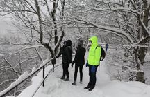 Plitvice Lakes Frozen Landscape Private Hiking Day Trip from Zagreb