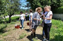 Treasure Hunt & Wine Tasting