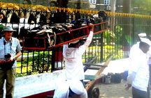 All in one Combo of City ,Slum,Dhobighat & Dabbawala tour