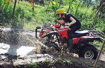 Bongkasa Half-Day Quad Bike ATV Ride Village Adventure in Bali with Transfer