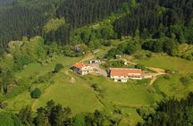 Discover the Art of Idiazabal Cheese in the Basque Country
