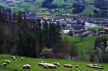 Discover the Art of Idiazabal Cheese in the Basque Country