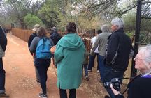 Ann Van Dyk Cheetah Centre Half-Day Tour from Johannesburg