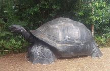 Half-Day Mahe private Tour