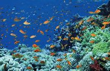 Discover Cairo & Luxor & Hurghada 9 Days-5 Stars Hotels & Flights Included 