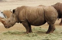 Rhino and Lion Nature Reserve