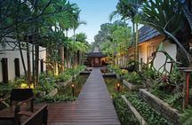 Reiki Healing in Chiang Mai's Award-Winning Day Spa