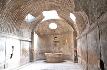 Small Group Guided Walking Tour of Ancient Pompeii Highlights