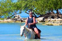 Negril 45-minute Guided Horseback Ride and Swim