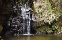 Horto Waterfalls Circuit Adventure Tour in Tijuca National Park