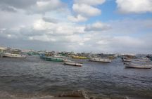 Explore the Treasure of Alexandria with Private Guide, Transportation, and Lunch