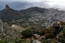 Hike Table Mountain with a Guide - Choose Route